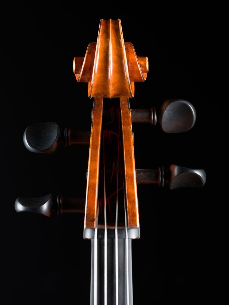 violoncelle 23 tête de face